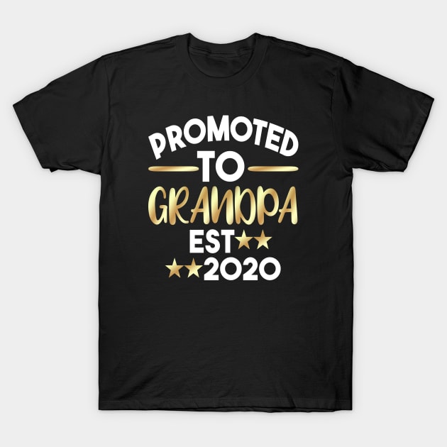 Promoted To Grandpa Est 2020 T-Shirt by Dhme